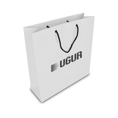 ALA-56 KÜÇÜK BOY KARTON ÇANTA(24x25.5x8,5 cm)